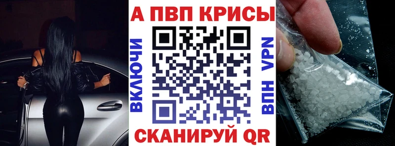 A PVP СК КРИС  Камышин 