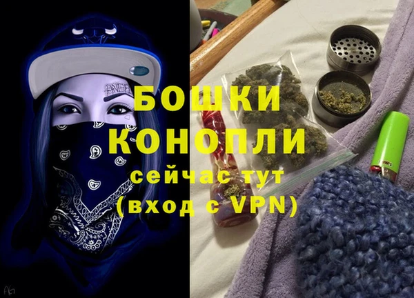 гидра Гусев