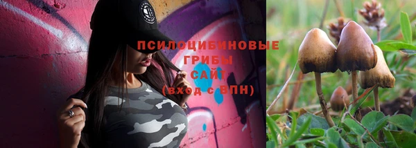 шишки Дмитров