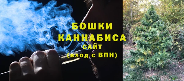 apvp Гусиноозёрск