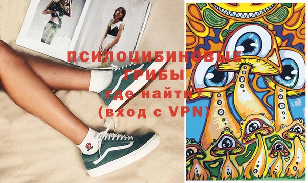 дурь Гусь-Хрустальный
