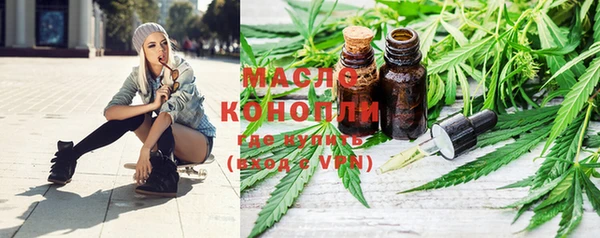 гидра Гусев