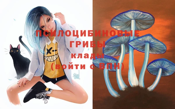 apvp Гусиноозёрск
