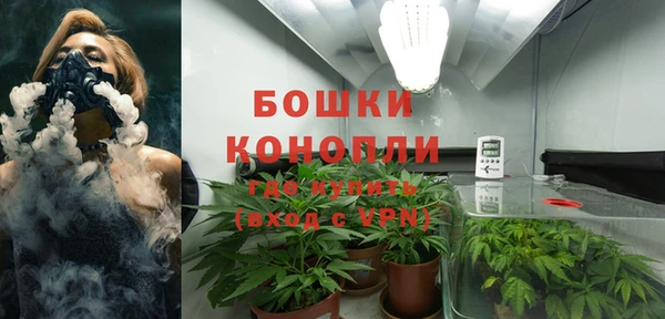 гидра Гусев