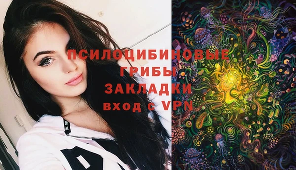 дурь Гусь-Хрустальный