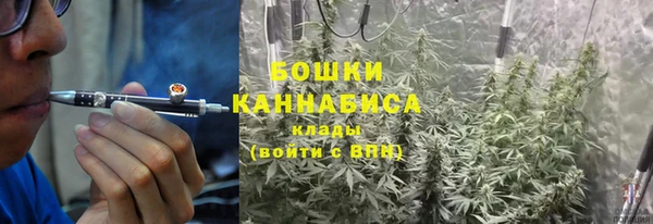 гидра Гусев