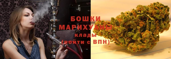 apvp Гусиноозёрск