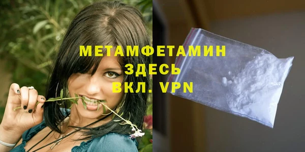 гидра Гусев