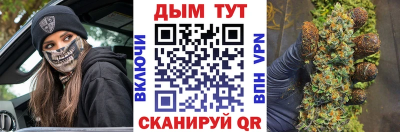 где продают наркотики  Камышин  даркнет какой сайт  Шишки марихуана гибрид 